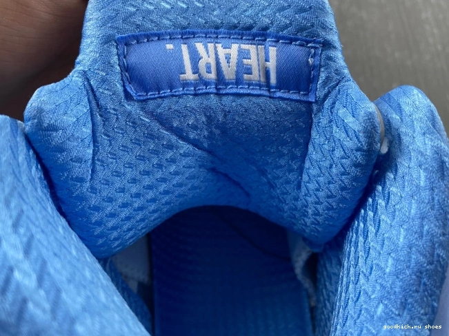 5 UNC DV1310-401 Air Jordan 0807